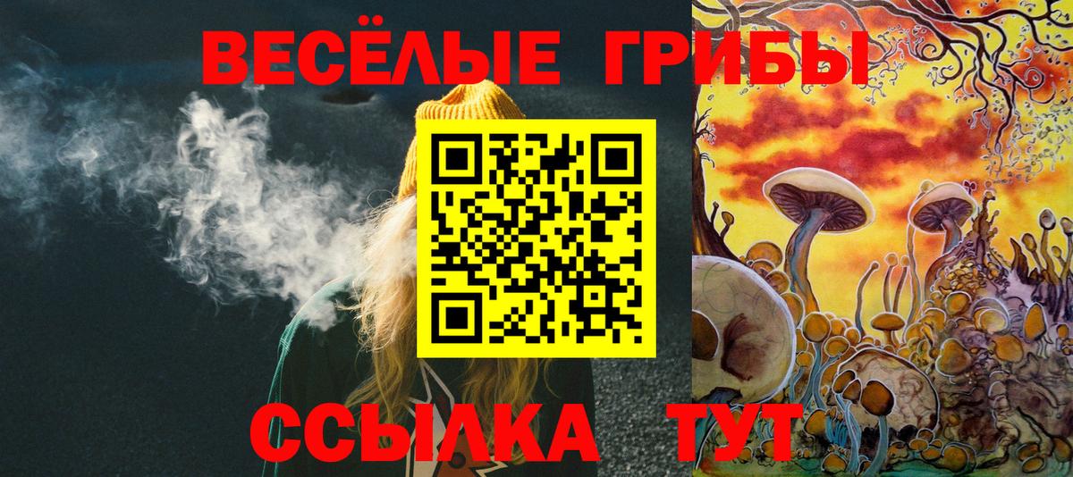 Галлюциногенные грибы прущие грибы  Вход с VPN  Бийск 