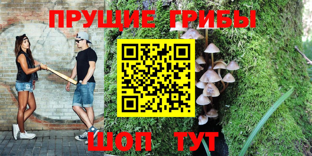 Псилоцибиновые грибы Cubensis Бийск